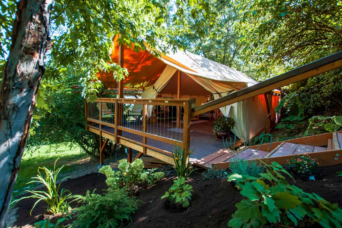 Hideaway Glamping Tent in the woodsrees