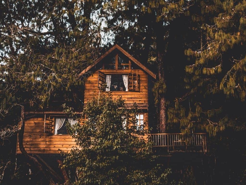 Treehouses in Washington