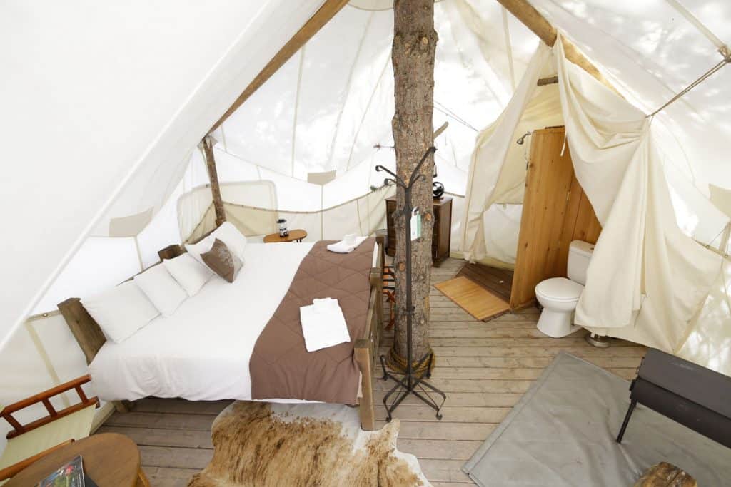 inside of treehouse tent at Under Canvas Glamping Glacier National Park with view of bed, bathroom and tree coming up the middle of the room