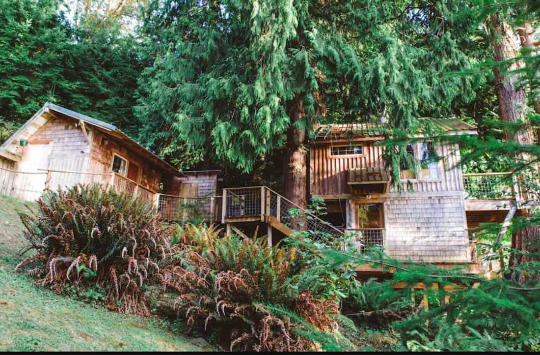 Treehouses in Washington