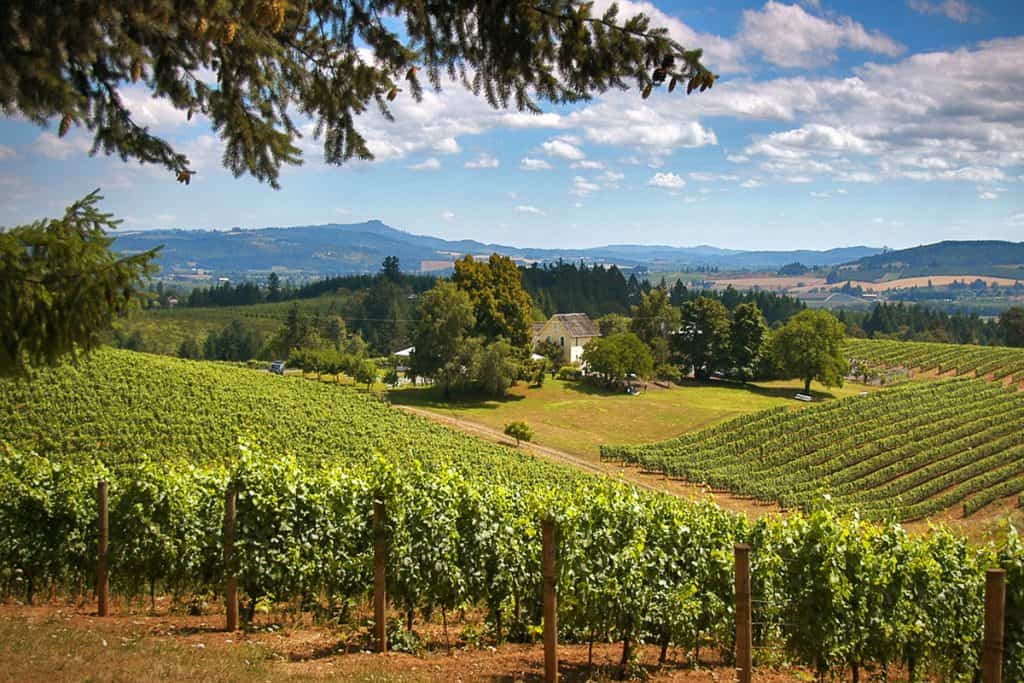 Wilamette Valley courtesy of Visit Portland