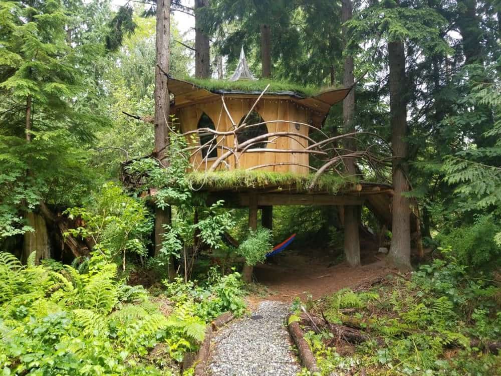 pot leaf treehouse Glamping in Washington State