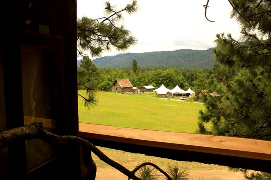 treehouse Glamping in Washington State