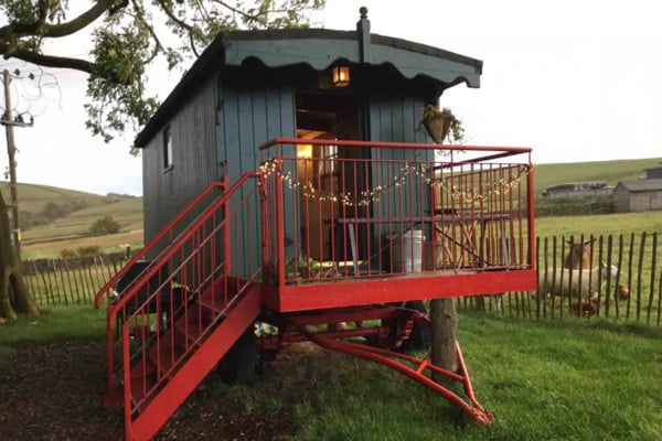 glamping wagon peak district view of the red deck and fields with animals behind it