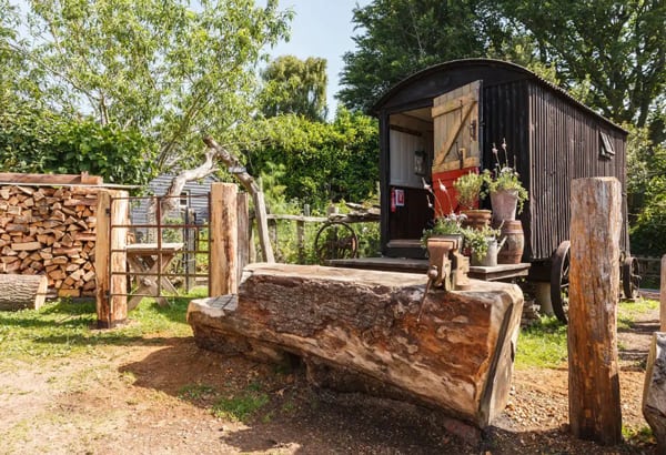glamping hut in new forest view of the outside