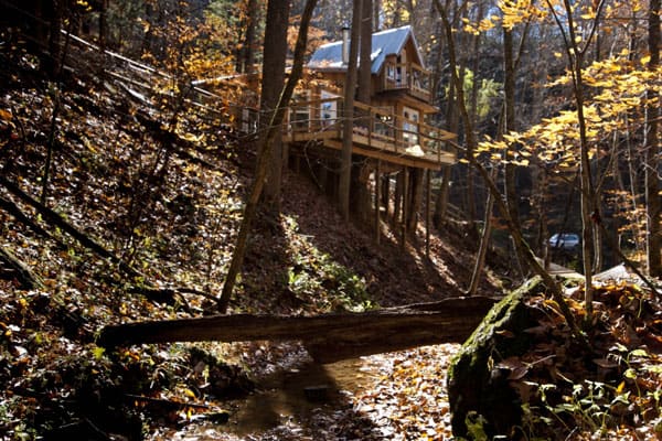 Sugar Creek Treehouse Asheville NC view from creek with treehouse above