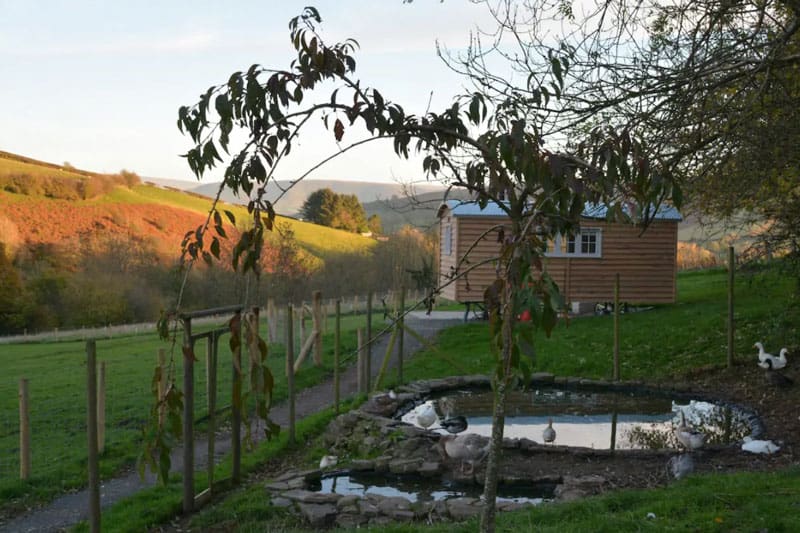 snug hut garden with pond