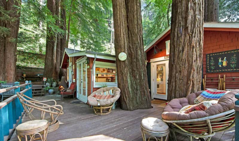 Deck and cabin with large trees