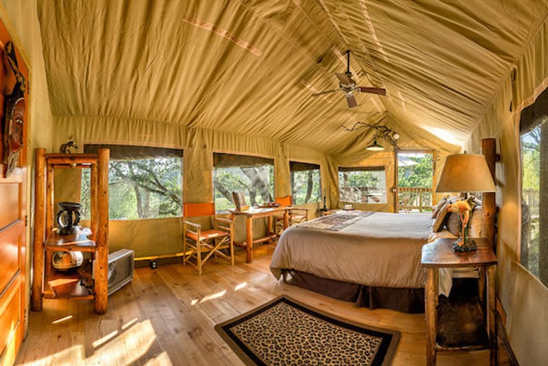 safari west tent glamping bay area view of inside with bed and safari decorations and furniture