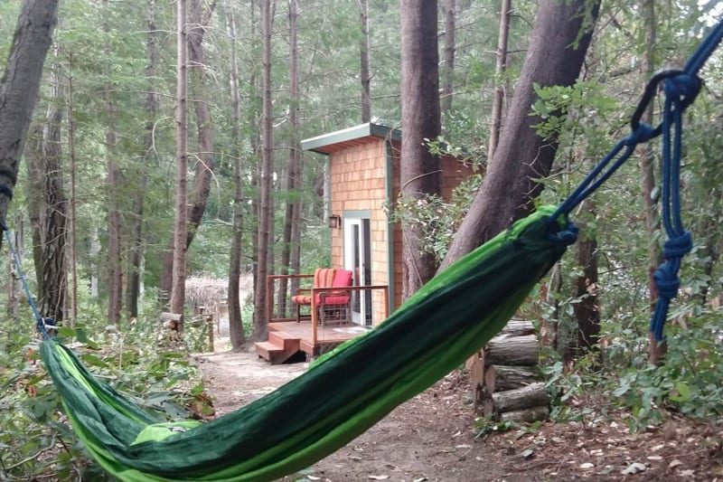 redwoods tiny home bay area view of the tiny home and hammock with trees and chairs on the small porch