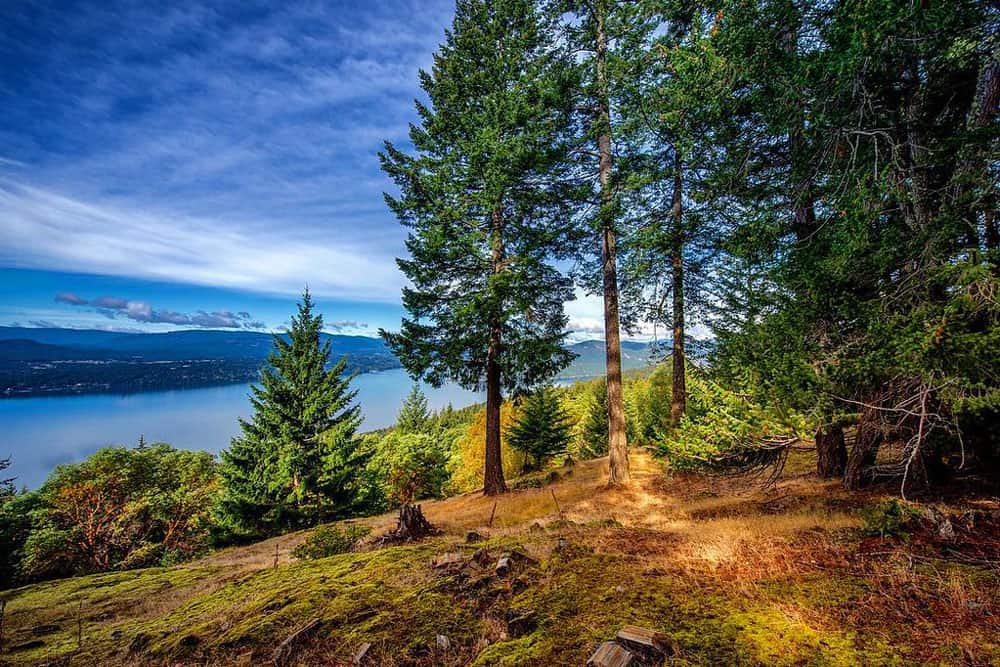 Luxury Camping on Salt Spring Island BC view of the bay from the island