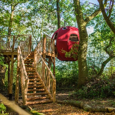 Brook House Woods Goji glamping pod view of the red pod in the trees with stairs going up to it