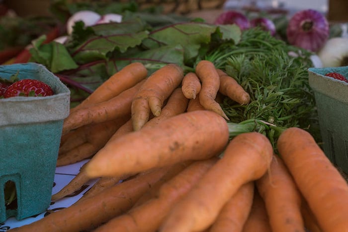 Salt Spring Island Farmers Market close up picture of fresh carrots and berries