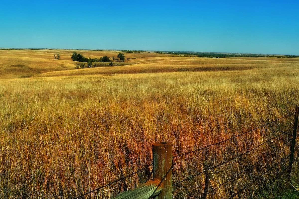 Gorgeous Glamping in Nebraska view of the Nebraska Prairies and a fence in the foreground
