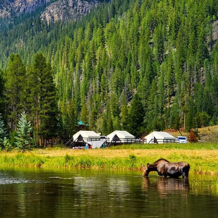 Arapaho Valley Ranch glamping tents colorado
