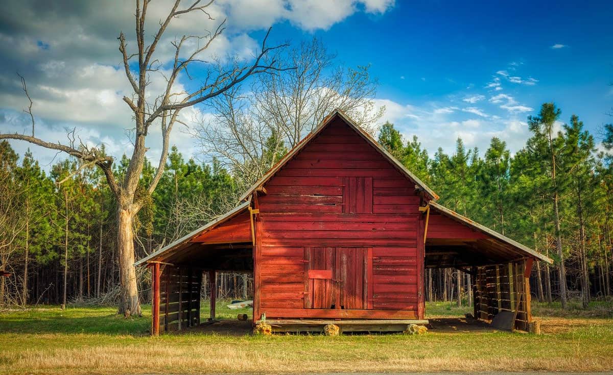 Luxury Cabin Rentals in Georgia