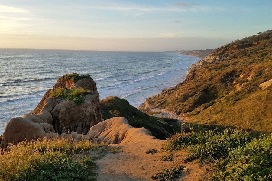 Torrey Pines State Reserve