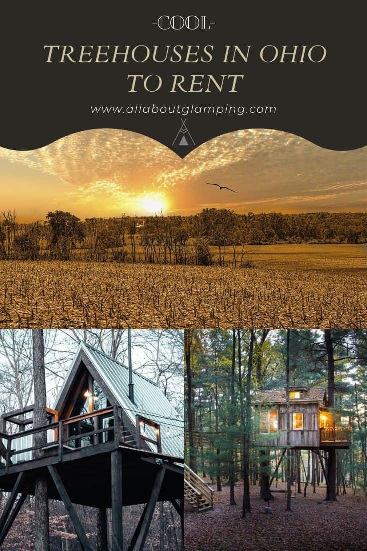treehouses in ohio