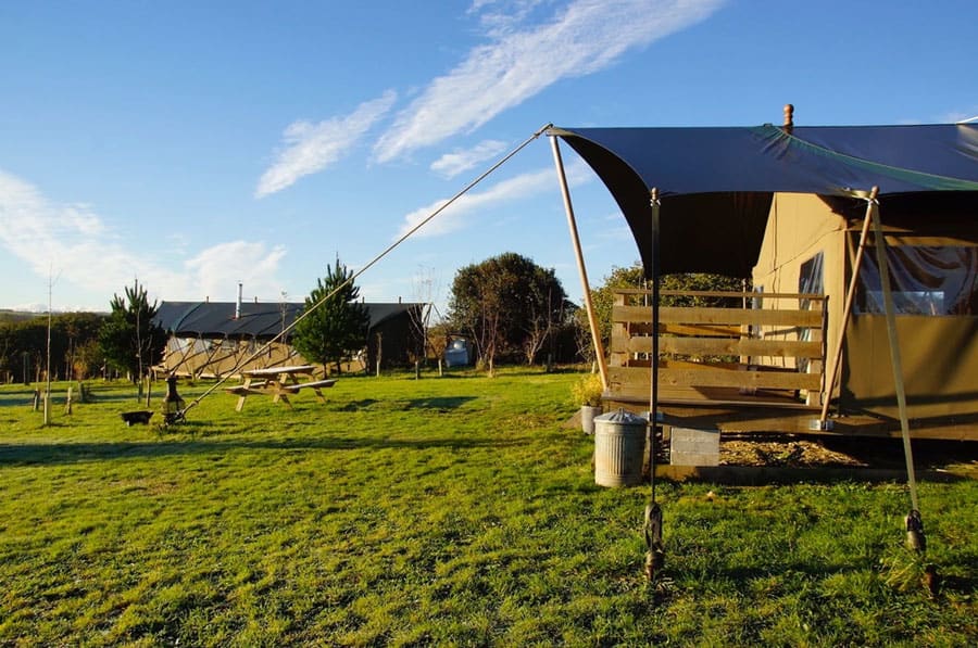 Wrinklers Wood Glamping