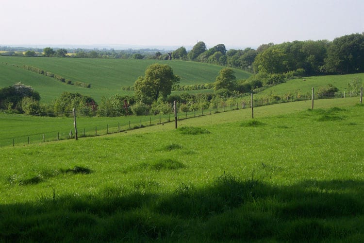 North Downs Kent