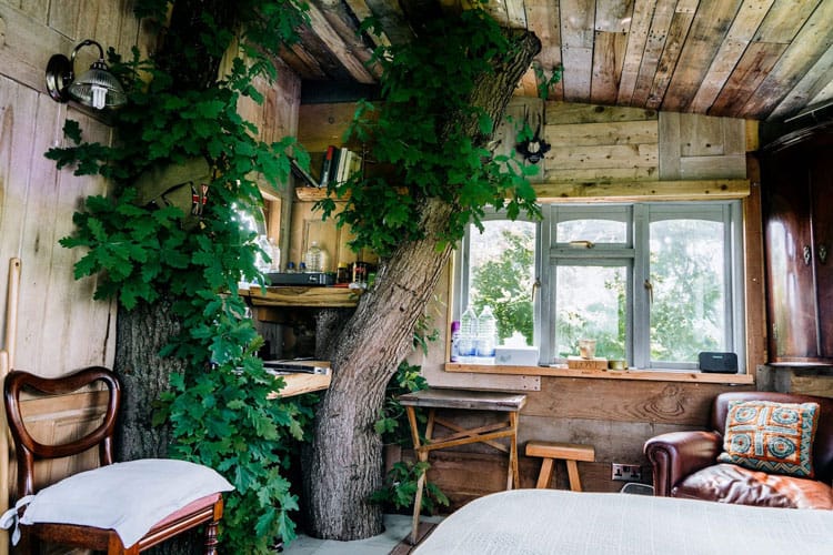 Glamping Kent Treehouse Retreat