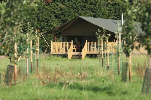 Wild Luxury Glamping in North Norfolk lodge