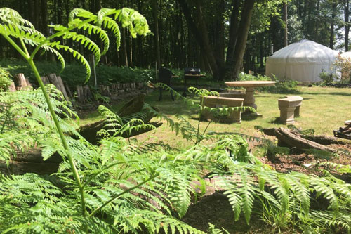 Gingerbread Yurts Norfolk Outside