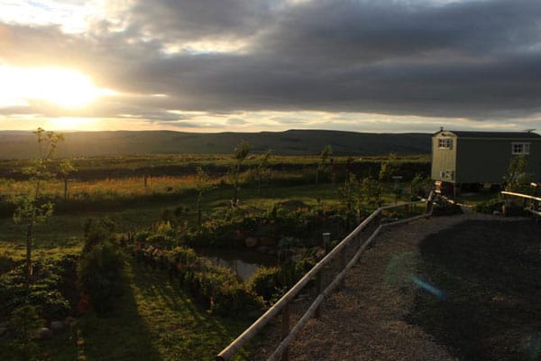 Buteland Stop Rosie Shepherds Hut sunset