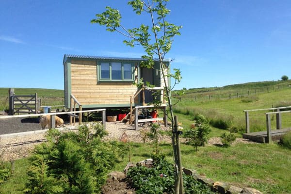 Buteland Stop Rosie Shepherds Hut Northumberland