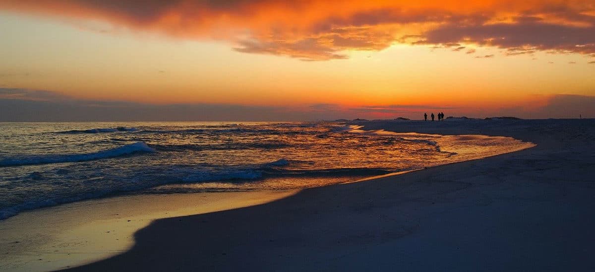 9 Florida Treehouses You Must Visit view of the beach