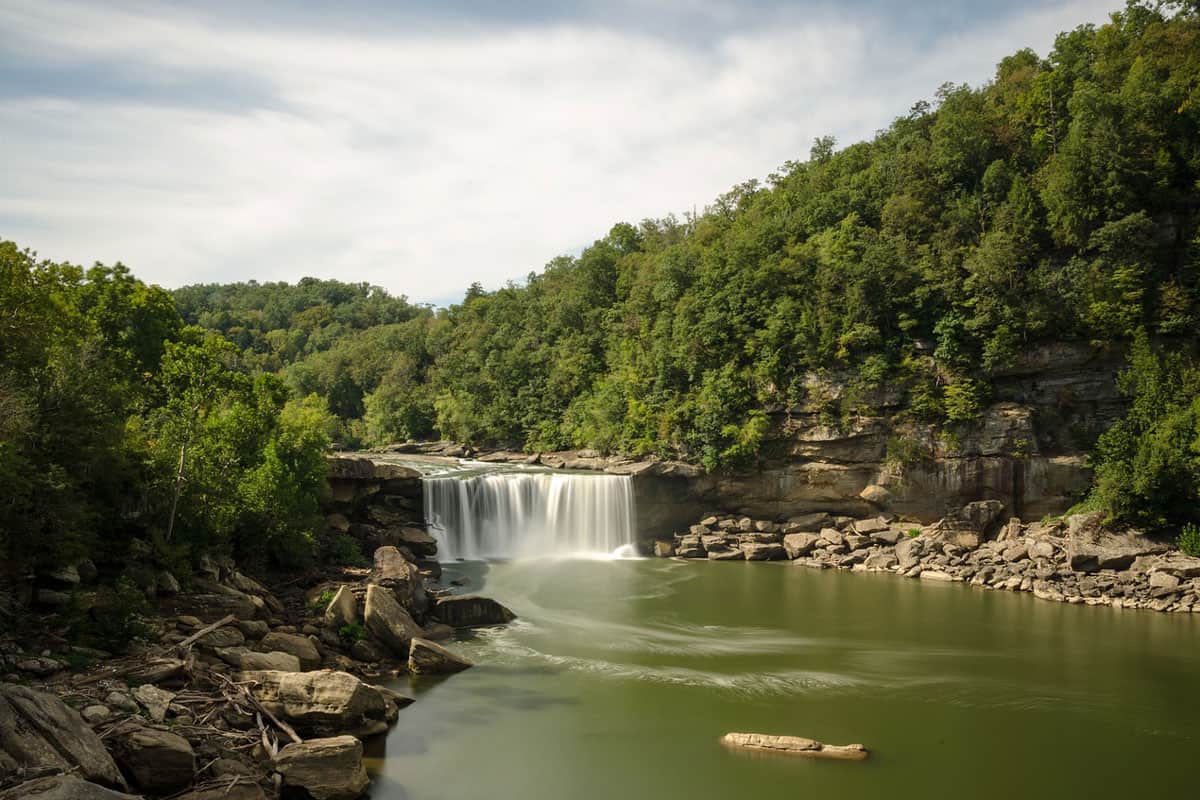 10 Treehouse Rentals in Kentucky You Won't Believe