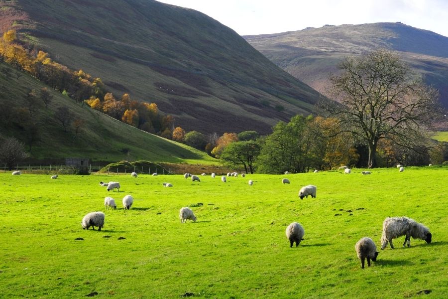 Glamping UK Peak District