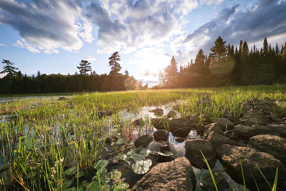 Minnesota Glamping