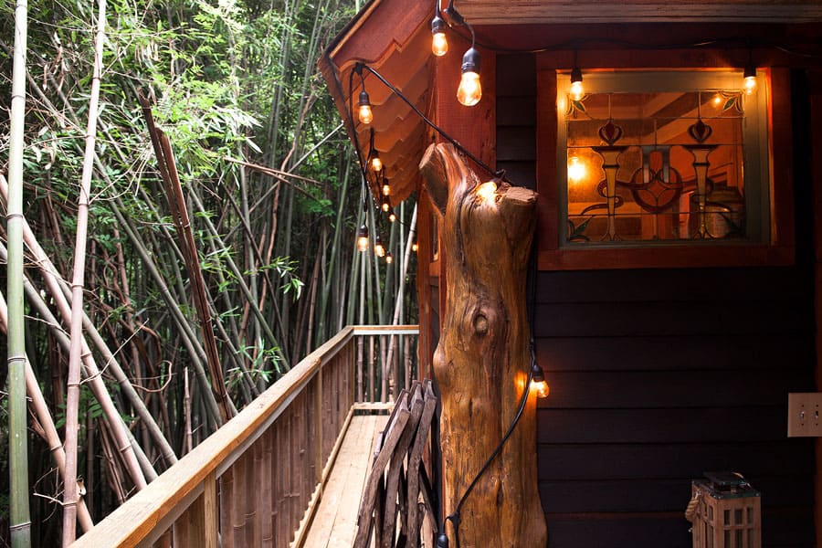 The Alpaca Atlanta Treehouse