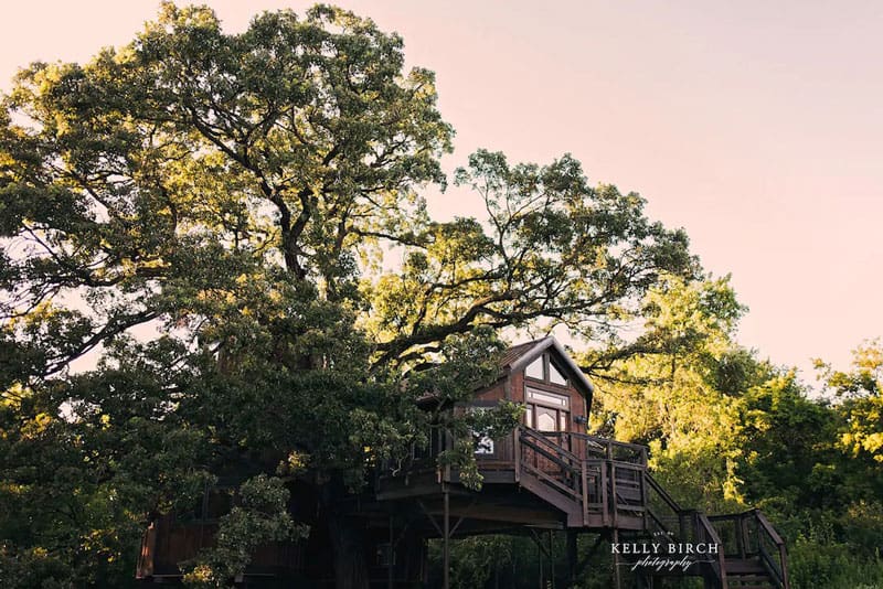Treehouse Mansion Lodge