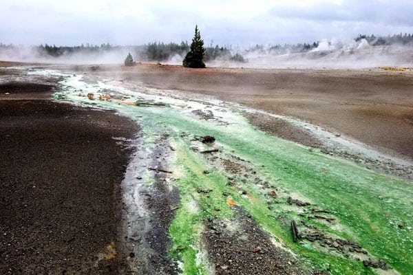 Norris Geyser Basin