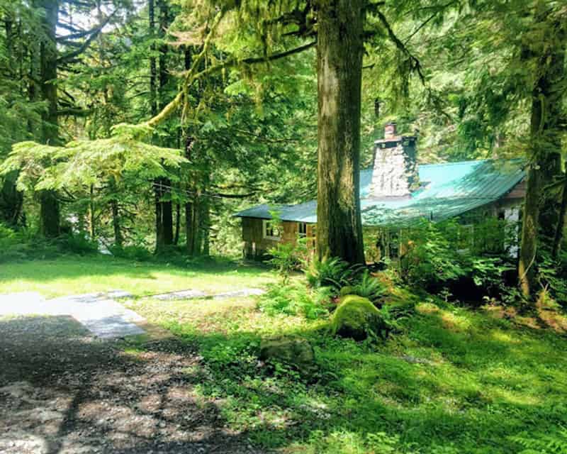 Mountain Cabin in Washington on 50 Acres