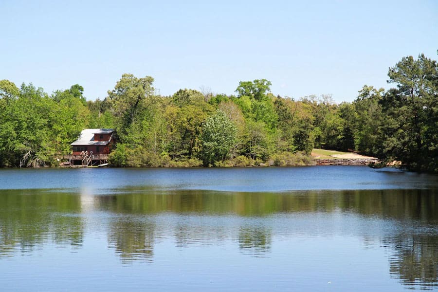 Secluded Deer Run Lake Cabin in Texas
