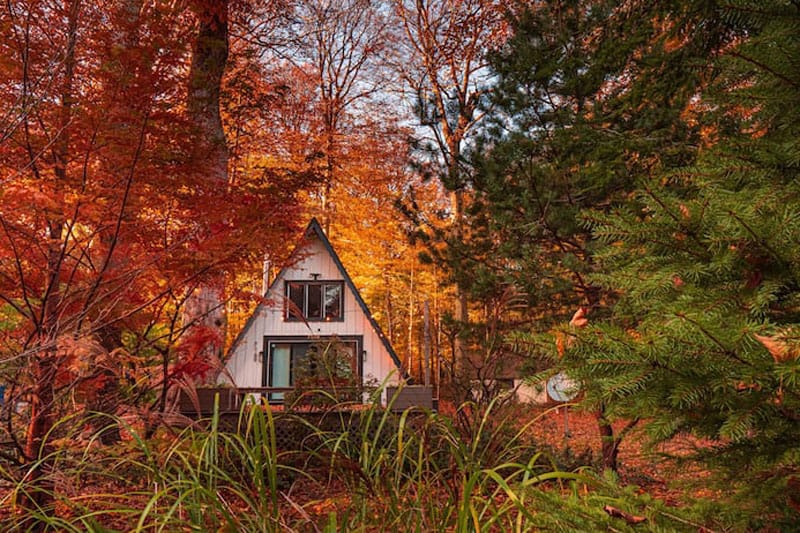 Maple Haven - A Charming Lake Michigan Tree House and is one of the top treehouses for rent in Michigan