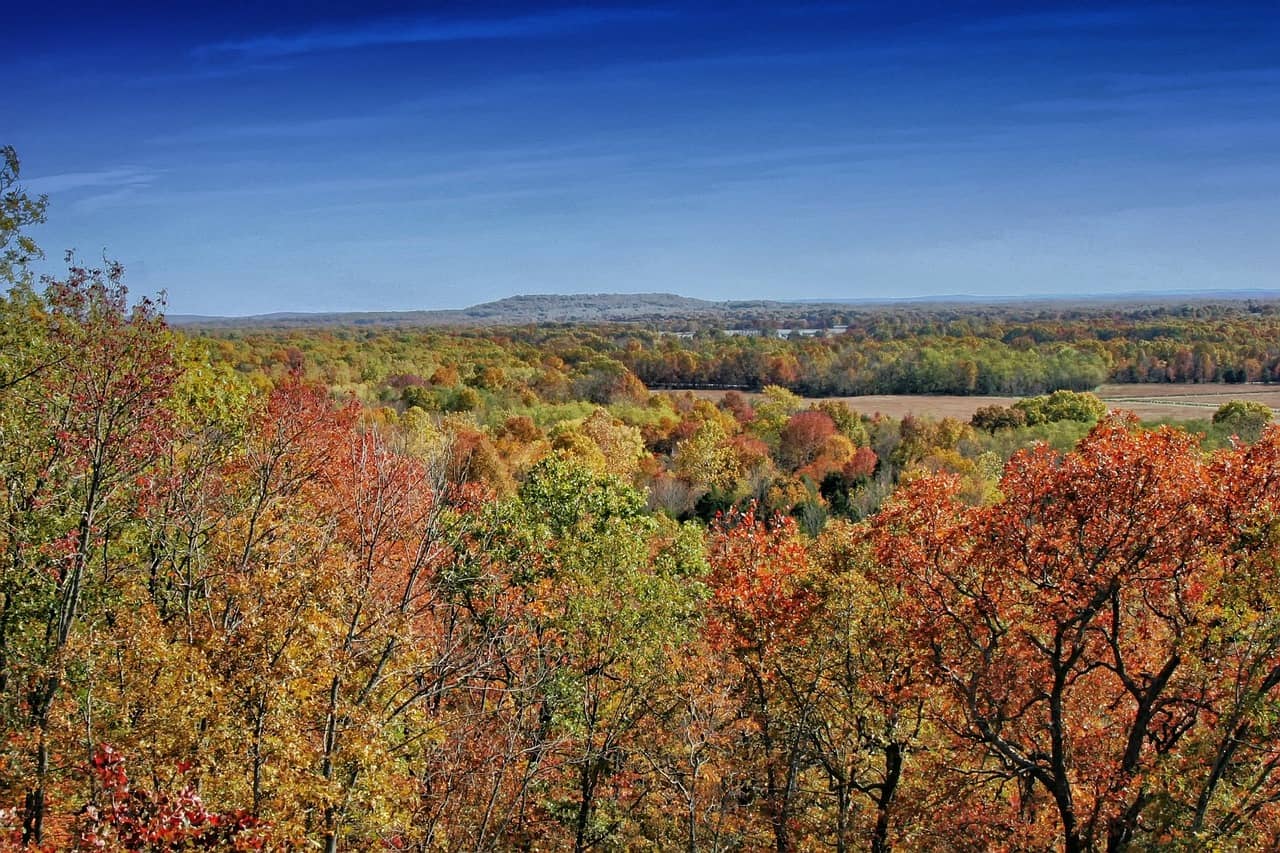Treehouses in Arkansas You Must Visit