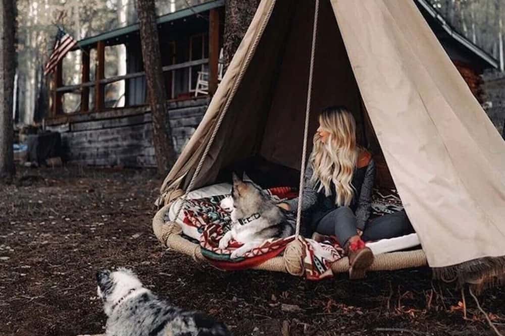 Grand Canyon Glamping Cabin for the Eco-Concious