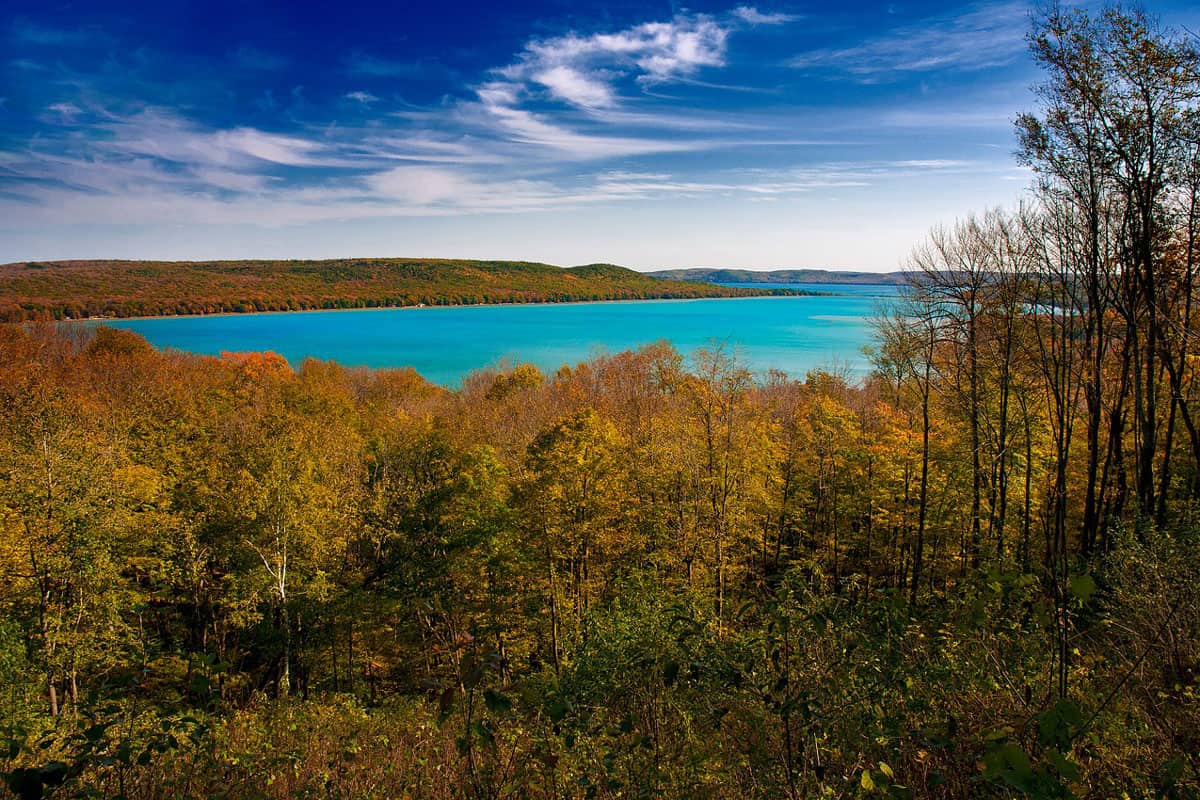 Treehouse Rentals in Michigan