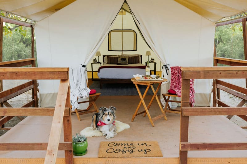 Wildhaven TentOutside Remington
