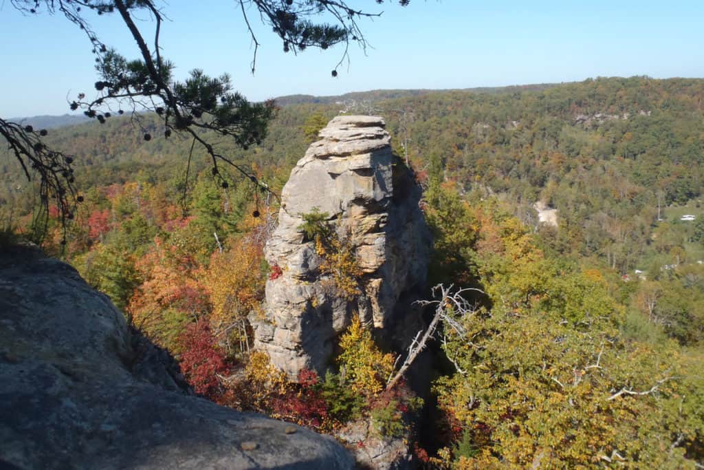 Top Red River Gorge Treehouses to Book