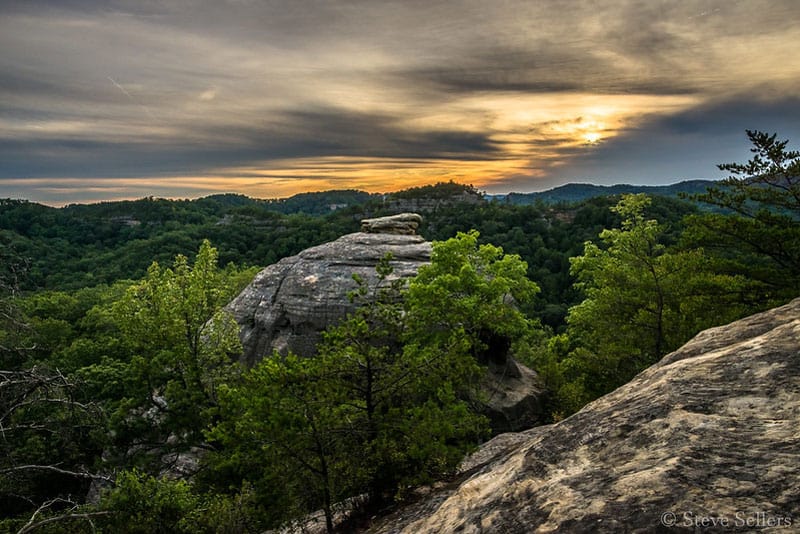 Hiking Red River Gorge Treehouses Activity