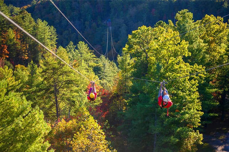 Zipline Red River Gorge Treehouse Activity