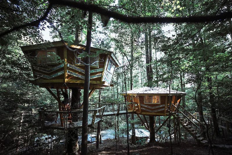 The Looking Glass Red River Gorge Treehouse Rental
