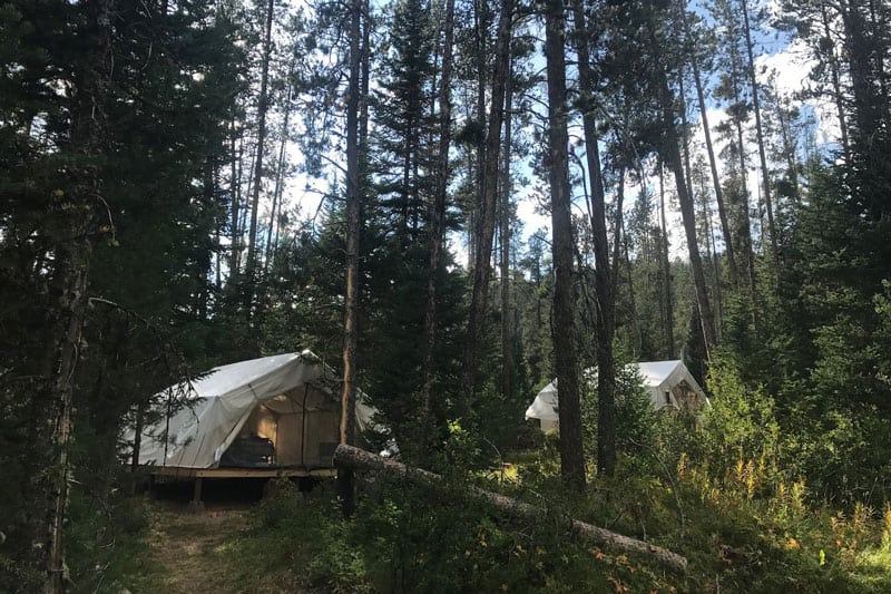 Safari Jackson Hole Glamping Tent