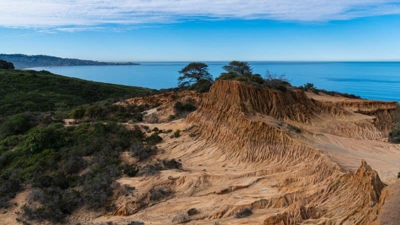 Torrey Pines State Reserve