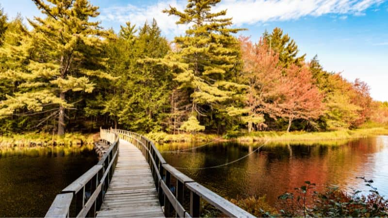 Kejimkujik National Park